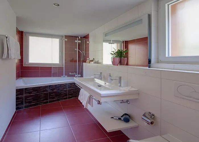 公寓 粉雪公寓 采尔马特